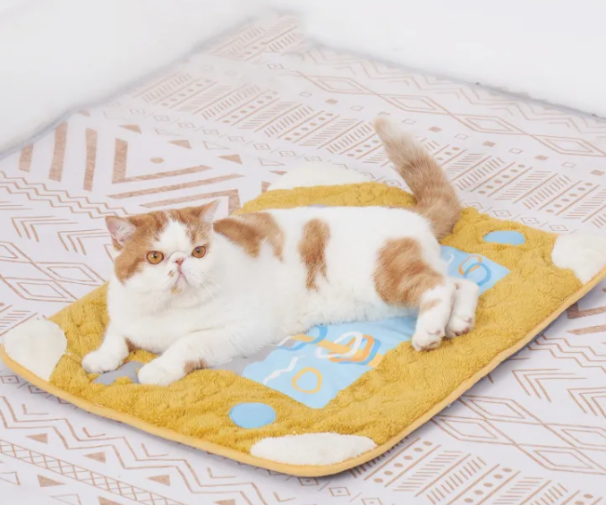 2022 New Style Cat Bed, Four Seasons Applicable, Semi-Enclosed, Special for Kitten, Warm in Winter, Internet Celebrity Dog Bed, Winter Use