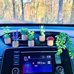 Creative succulent cactus potted car air-conditioning outlet aromatherapy clip car aromatherapy cotton car interior decoration