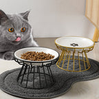 Cat sitting next to elevated pet bowls with food on a mat.