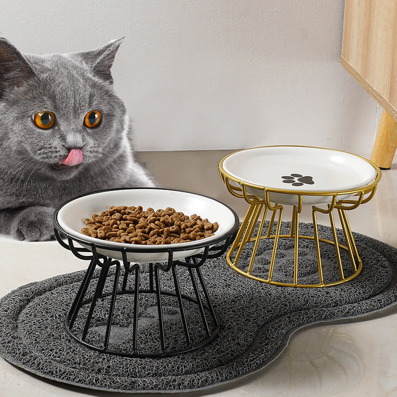 Cat sitting next to elevated pet bowls with food on a mat.