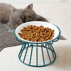 Cat food in a elevated bowl with a cat lying on a rug in the background