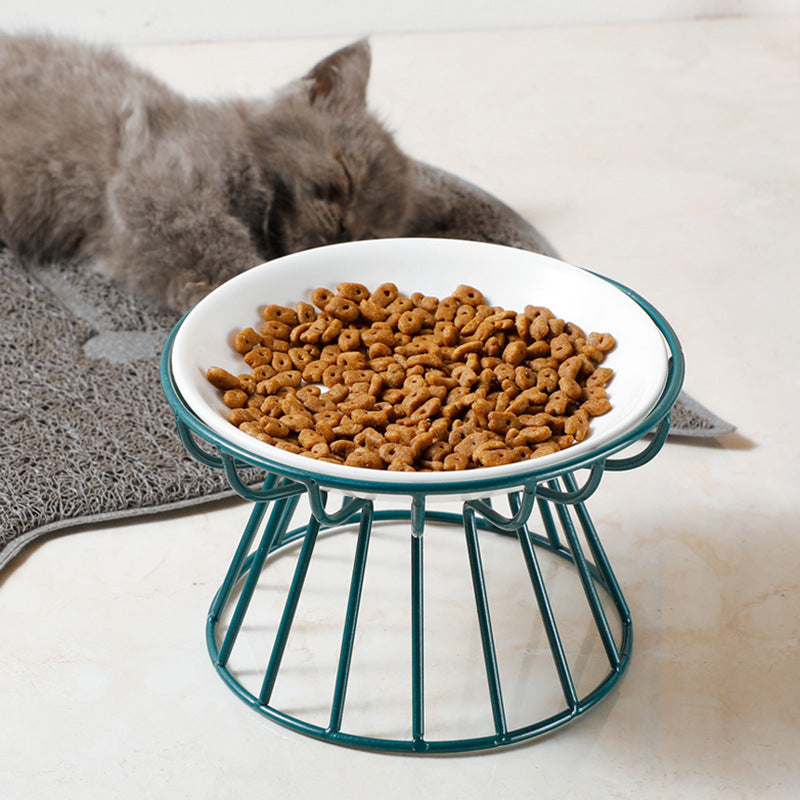 Cat food in a elevated bowl with a cat lying on a rug in the background