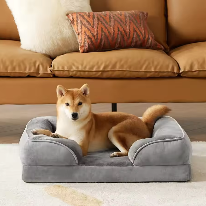 Dog lying on a gray pet bed in a living room with a couch in the background