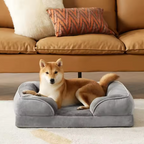 Dog lying on a gray pet bed in a living room with a couch in the background